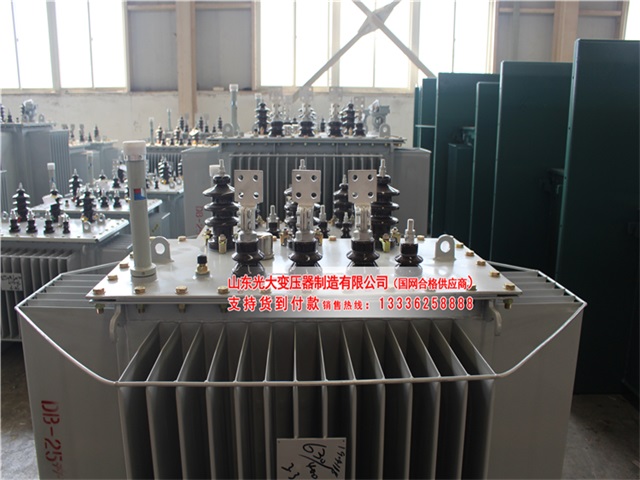 绥棱S13油浸式变压器